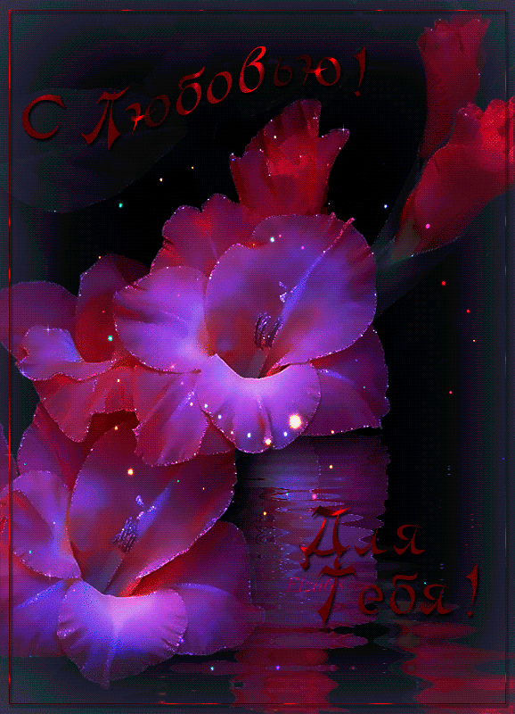 Красивые гиф-анимации с цветами (70 картинок) 🔥 Прикольные картинки и юмор