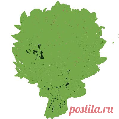 Советы ЧАЙНИКА.
