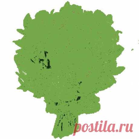 Советы ЧАЙНИКА.