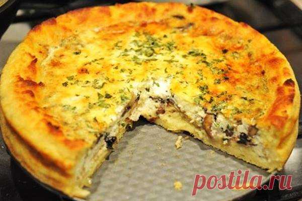 Картофельный пирог с грибами и луком рецепт с фото как приготовить Друзья, сегодня будем готовить картофельный пирог с грибами, рецепт очень простой и доступный. Я предлагаю вам самый простой рецепт картофельного пирога с обыкновенной начинкой из грибов и лука. Пирог будет нежным и вкусным, а тем временем перейдём к рассмотрению, как приготовить картофельный пирог с грибами и луком…