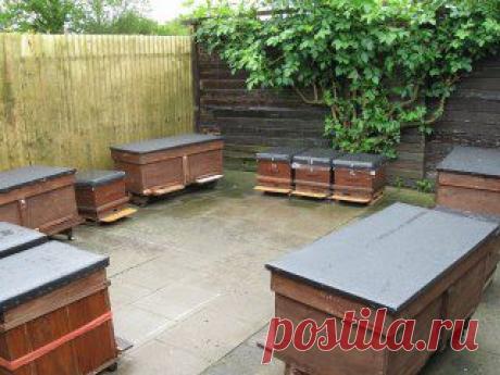 Одноклассники