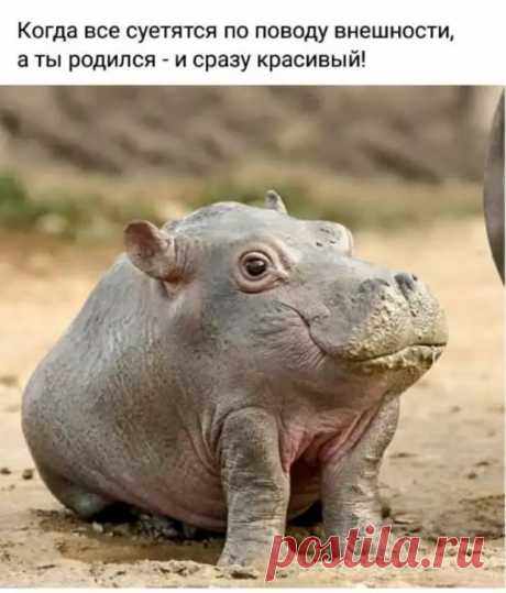 Новости - МирТесен