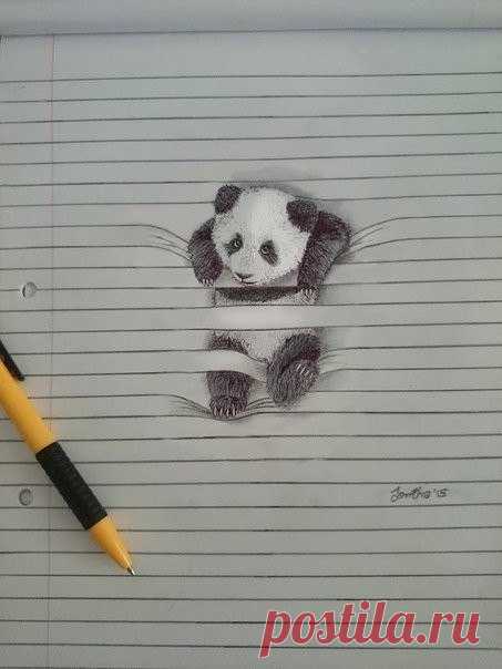 Интересные рисунки животных, застрявших в тетрадных листах.