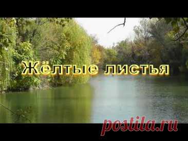 "Желтые листья" - Игорь Горбушин. Шымкент.