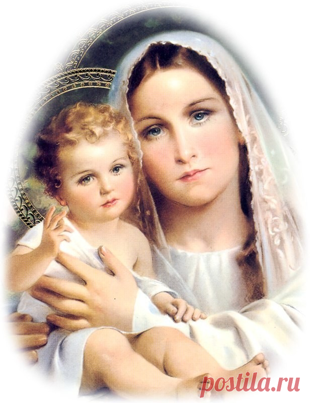 (86) Одноклассники