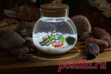 Миниатюрный аквариум как элемент декора ~ Planetalsad