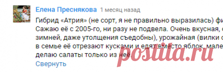 Очень вкусный капустный салат! Всем рекомендую! - YouTube