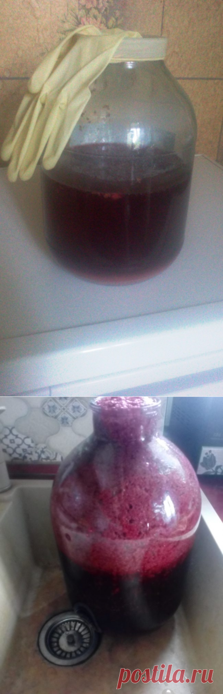 Рецепт вина из малины в домашних условиях