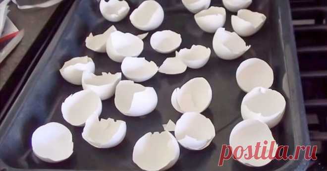 Она запекает скорлупу яиц в духовке, вместо того чтобы выбрасывать ее! Узнайте зачем… » Женский сайт InfoWoman.com.ua. Полезные советы для женщин