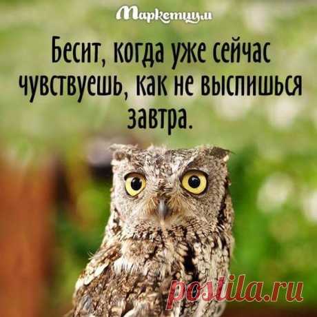 Подборка шуток о жизни женщинах