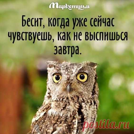 Подборка шуток о жизни женщинах