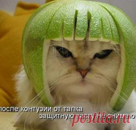 Фотопозитив))))