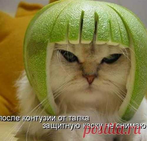 Фотопозитив))))