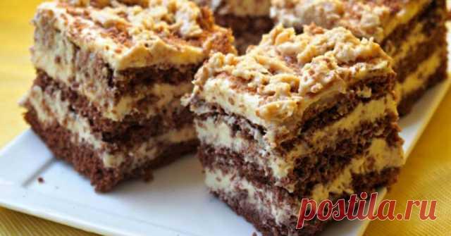 Как приготовить польский пирог «Халвовец»: нарядный, как торт! Угощение от щедрой хозяйки — Женская страничка