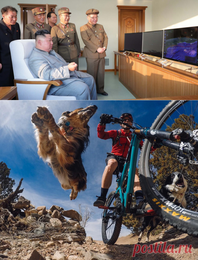 Картинки и фотографии на просторах интернета