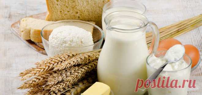 Бактериальные закваски Vivo. Закваски для йогуртов с содержанием пробиотиков