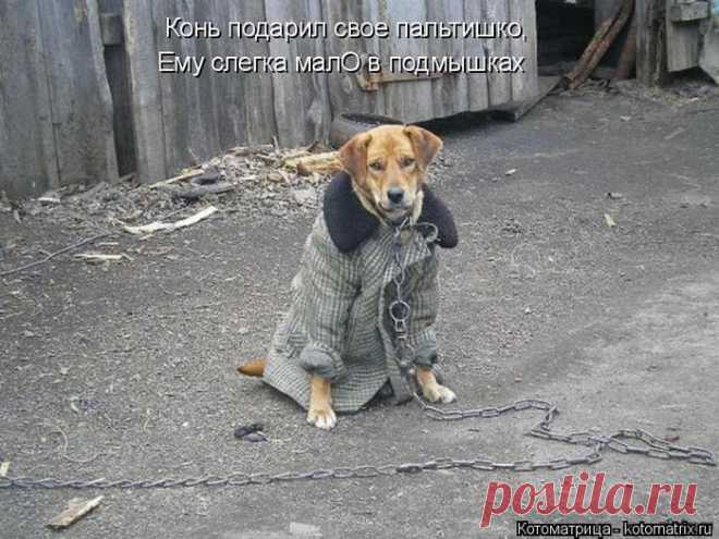 Животные с рифмой