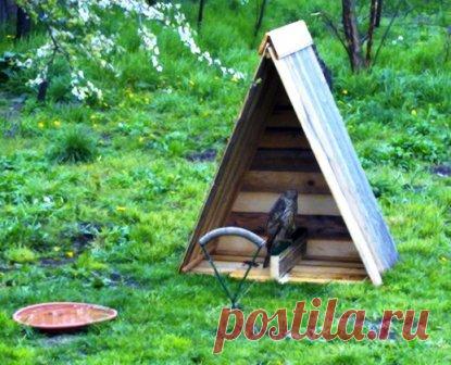 Оборудование для соколиной охоты / Практика соколиной охоты / 