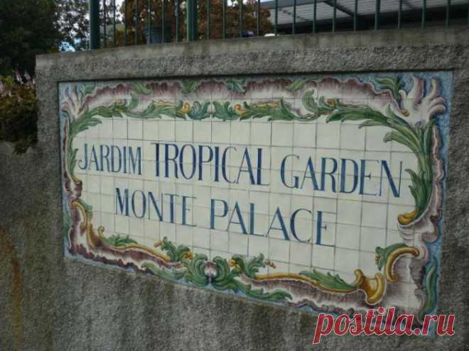 Главная причина слетать на Мадейру