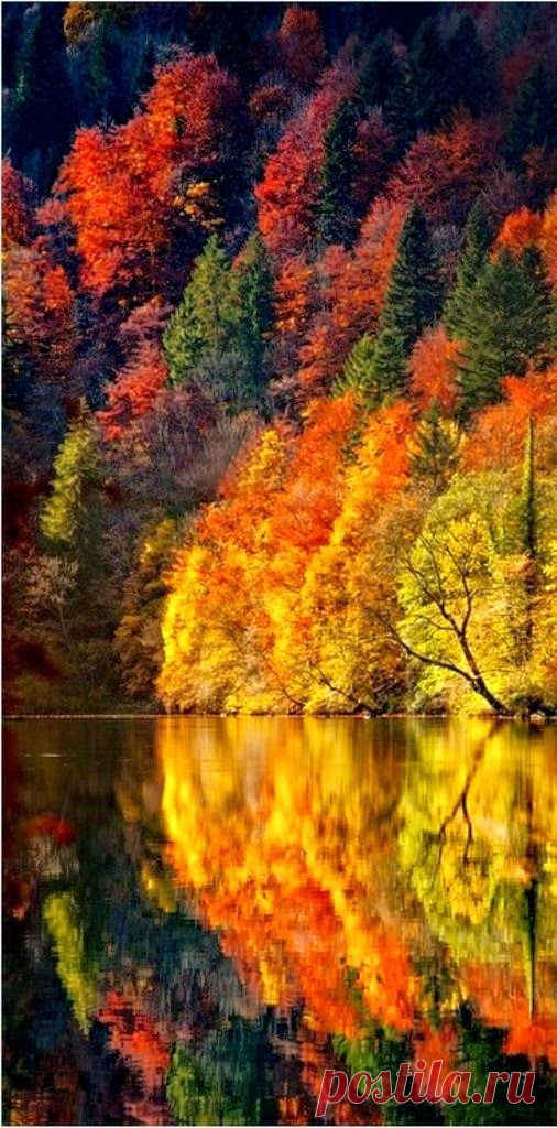 Fire in the Woods | AUTUMN AWESOMENESS