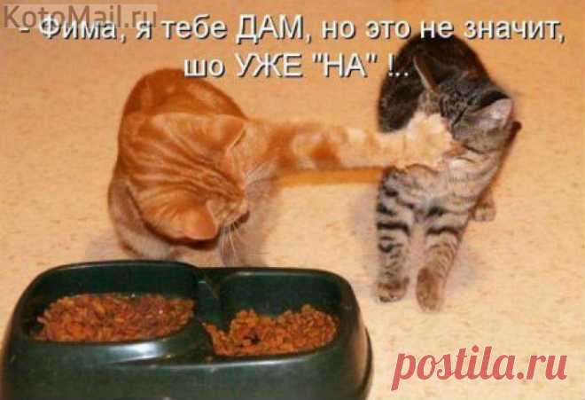 Дам, но потом...