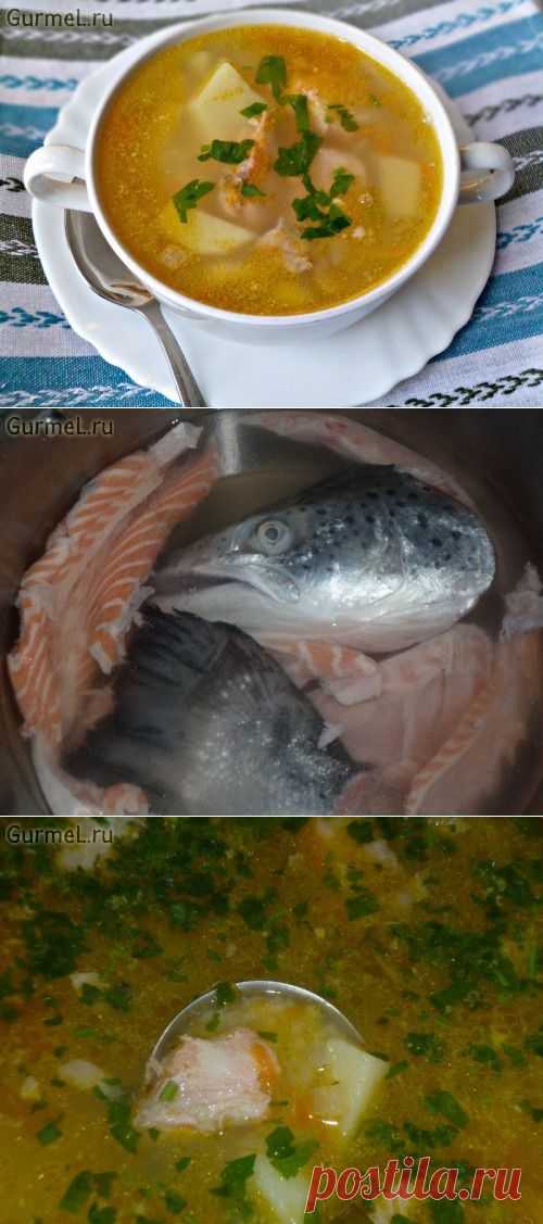 Уха по-домашнему (с картофелем и пшеном).