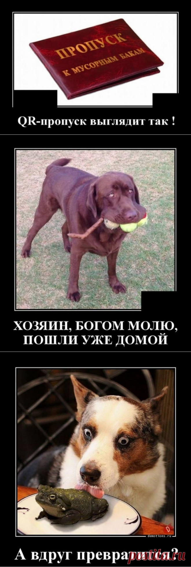 Демотиваторы по-русски:Улыбнемся в период самоизоляции!