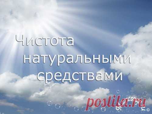 Чистота натуральными средствами: чистим унитаз!