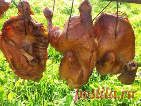 Копчение курицы в домашних условиях. Домашние копчености