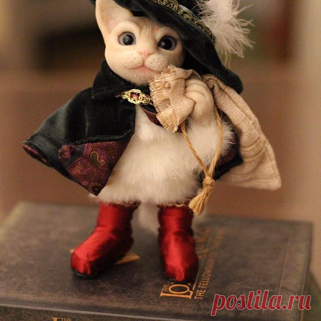 僕も旅にでる！
I'll bring you happiness!
#cernit #handmade #artdoll #ooak #fuyodoll #DVD#cat #poupée#ロードオブザリング#人形#長靴をはいたネコ#猫#tokyo #japan#chat