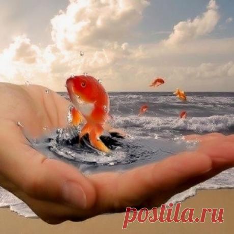КАК ПРАВИЛЬНО ХОТЕТЬ, ЧТОБЫ ЖЕЛАНИЯ ИСПОЛНЯЛИСЬ...