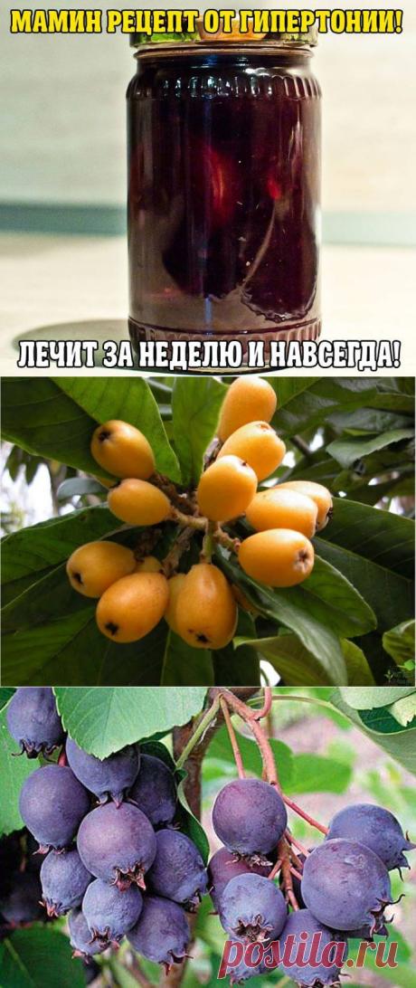 МАМИН РЕЦЕПТ ОТ ГИПЕРТОНИИ! ЛЕЧИТ ЗА НЕДЕЛЮ И НАВСЕГДА!.