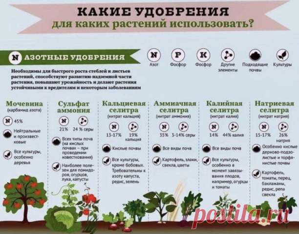 Полезная информация на заметку