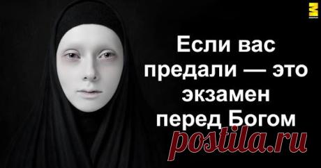 Если вас предали — это экзамен перед Богом - Brainum