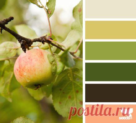 fresh hues (design seeds)