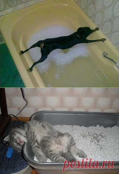 Одноклассники