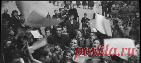 В этом году вы больше обычного читали про путешествия (что, наверное, логично — когда не получается попасть в новые места, то здорово хотя бы почитать о них) и традиционно уважали истории про природу и научные открытия. Впрочем, тематика самых популярных материалов 2020 года на Nat-geo.ru оказалось максимально разнообразной — от архивных снимков времен Второй мировой войны до столкновений хищников в дикой природе.