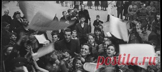 В этом году вы больше обычного читали про путешествия (что, наверное, логично — когда не получается попасть в новые места, то здорово хотя бы почитать о них) и традиционно уважали истории про природу и научные открытия. Впрочем, тематика самых популярных материалов 2020 года на Nat-geo.ru оказалось максимально разнообразной — от архивных снимков времен Второй мировой войны до столкновений хищников в дикой природе.