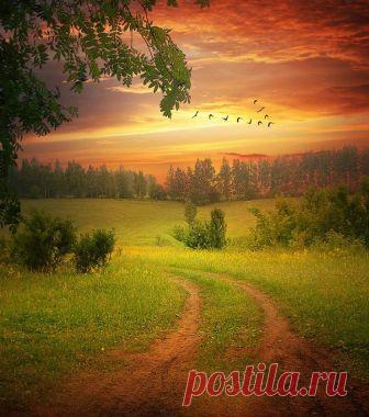 Как ясен август, нежный и спокойный,
Сознавший мимолетность красоты.
Позолотив древесные листы,
Он чувства заключил в порядок стройный.

В нем кажется ошибкой полдень знойный,-
С ним больше сродны грустные мечты,
Прохлада, прелесть тихой простоты
 И отдыха от жизни беспокойной.

В последний раз, пред острием серпа,
Красуются колосья наливные,
Взамен цветов везде плоды земные.
Отраден вид тяжелого снопа,

А в небе журавлей летит толпа
 И криком шлет 