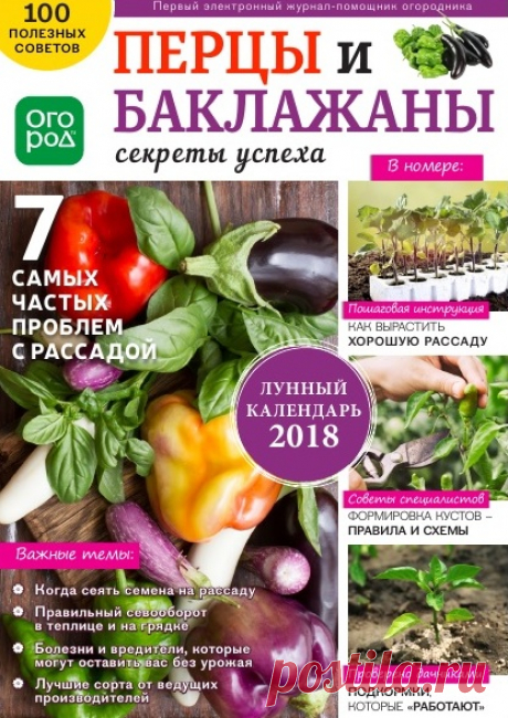 Перцы и баклажаны. Выращивание.