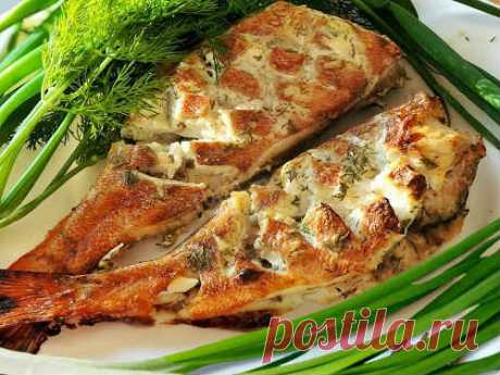 Как приготовить морского окуня вкусно - ТОП 10 рецептов