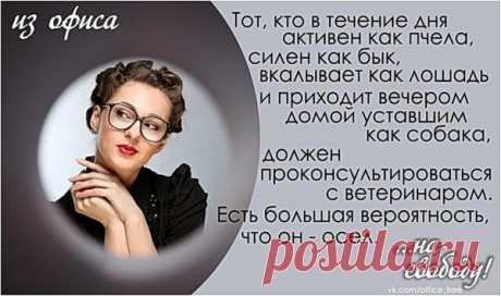 Немного юмора – Блог. Run, пользователь Марина Николаева | Группы Мой Мир