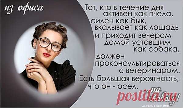 Немного юмора – Блог. Run, пользователь Марина Николаева | Группы Мой Мир