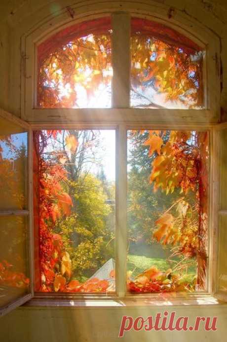 Fall Foliage and beyond....