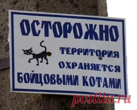 19 убойных табличек, предостерегающих от злых собак