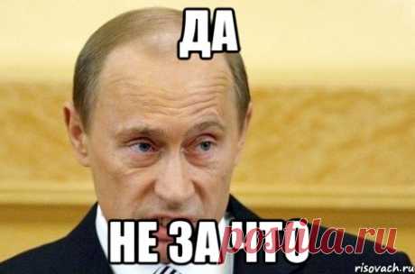 не за что: 16 тыс изображений найдено в Яндекс.Картинках