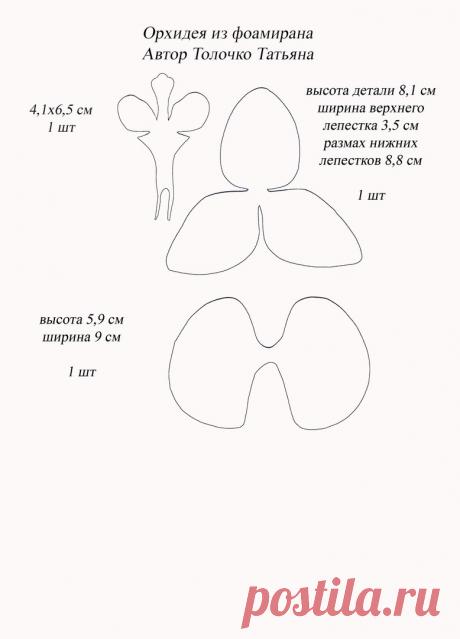 Татьяна Терёхина