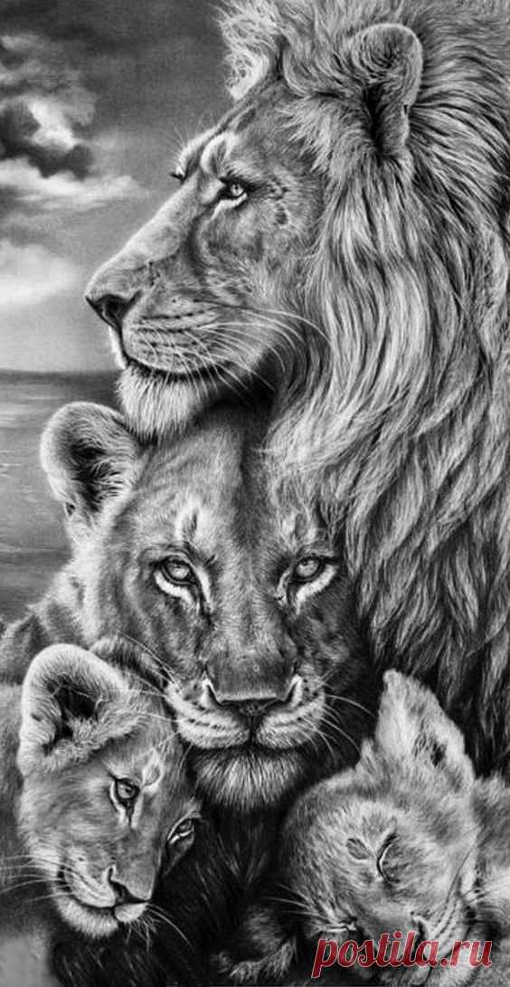 (55) Pinterest