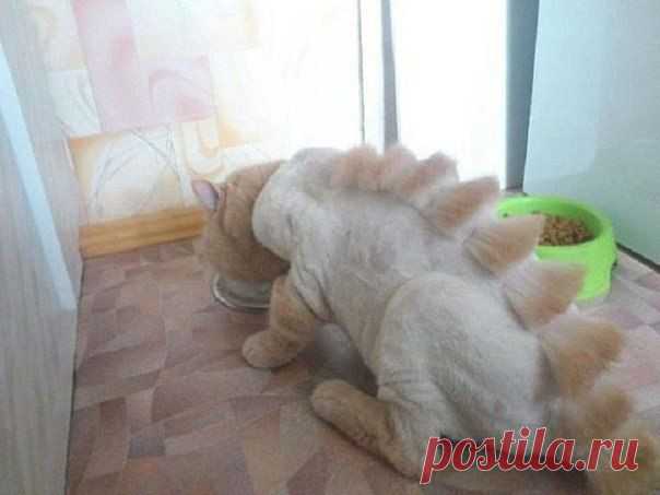 Своими руками (HandMade, дизайн, творчество)