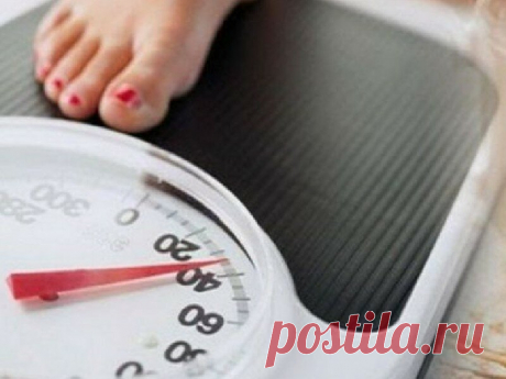 5 странных и необычных диет, на которых вы еще точно не сидели, да и вряд ли рискнете так худеть | Похудеть-помолодеть | Яндекс Дзен